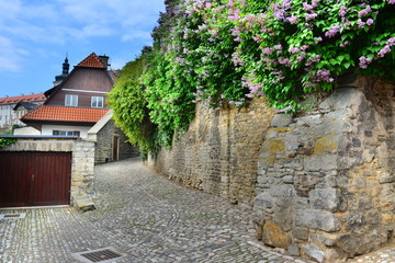 Small summer narrow street view. Czech village.