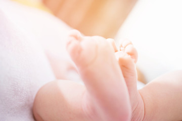 closeup of newborn baby feet. Template for baby book or baby photo album