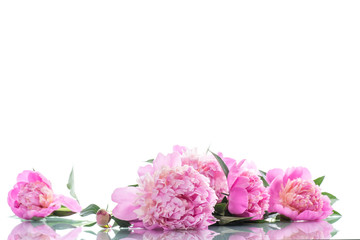 bouquet of blooming peonies