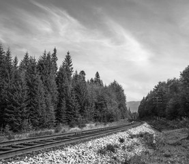 black and white  landscape of a railway in a summer day
