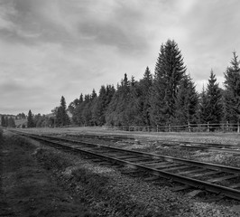 Obraz premium black and white landscape of a railway in a summer day