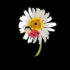 Ladybird on daisy, chamomile isolated . Image about summer, spring, flowers and joy.Vector