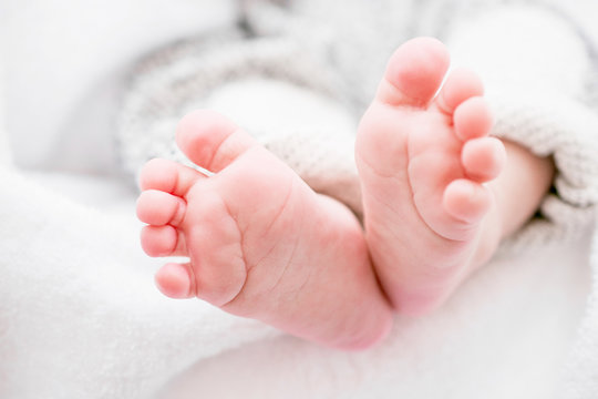 closeup of newborn baby feet. Template for baby book or baby photo album