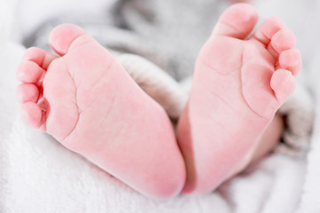 Obraz na płótnie Canvas closeup of newborn baby feet. Template for baby book or baby photo album