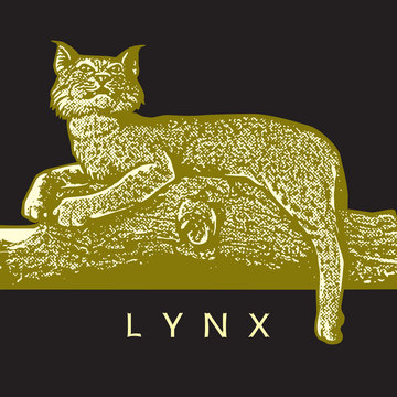 Wild lynx (Lynx rufus) in graphic engraving isolated on black background.
Vector illustration of bobcat in vintage style. Beautiful animal lying and resting.