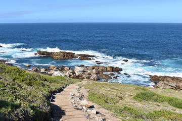 Wonderful landscape with the blue beach at the hiking trail at Robberg Nature Reserve in Plettenberg Bay, South Africa