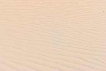 Fototapeta na wymiar Beautiful background of a sandy beach 