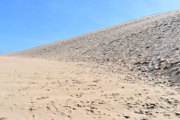 Beautiful background of a sandy beach 
