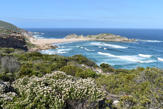 Wonderful landscape with the blue beach at the hiking trail at Robberg Nature Reserve in Plettenberg Bay, South Africa