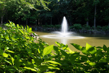 新緑の公園の噴水（千葉県・鎌ケ谷市）