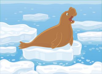Big sea elephant on a drifting ice floe in a polar sea, vector illustration in a cartoon style © Alexey Bannykh
