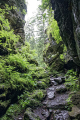 Road trip true the wonderful nature and landscape of Romania