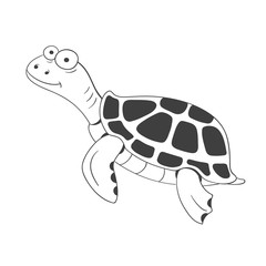 Hand drawn turtle on white background. Vector illustration.