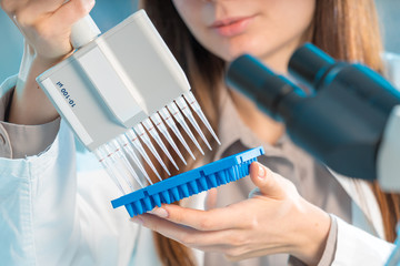 Microbiological laboratory scientist woman with multi channel pipette going DNA test