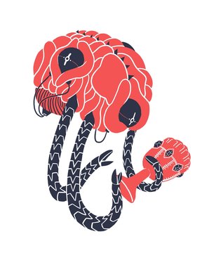 Brain