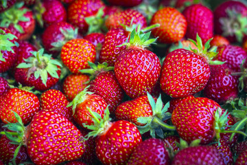 ripe, organic, red strawberries in bulk in a box