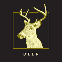Deer head - yellow drawing isolated on black background.
Vector illustration of stags deer head in vintage style, graphic engraving design element for logo, pattern portrait of cute animal. 
