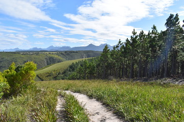 Mountainous landscape at Tsitsikamma National Park in South Africa