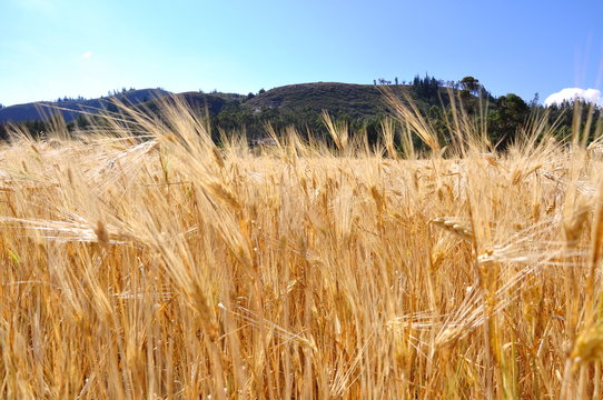 aire libre