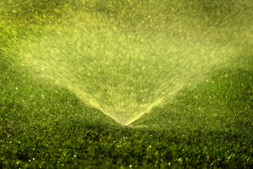 Sprinkler Spraying Water on Lush Green Lawn Yard