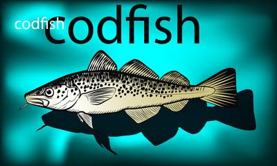Codfish
