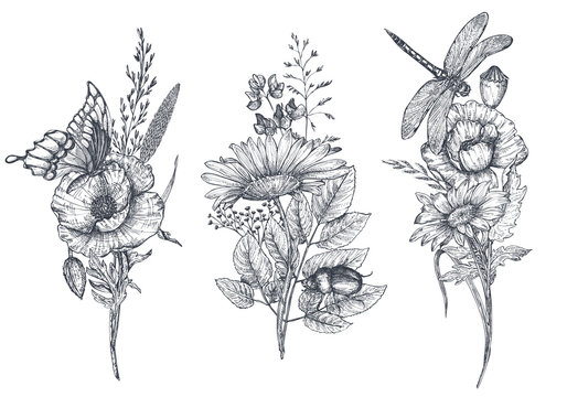 Set of three vector floral bouquets with black and white hand drawn herbs, wildflowers and insects