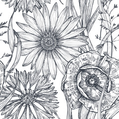 Vector seamless pattern with hand drawn poppy and other flowers and plants