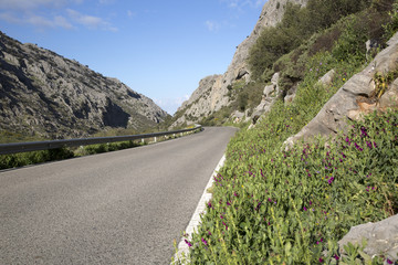 Open Road in Grazalema National Park
