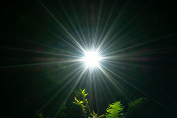 Obraz premium the light of hope