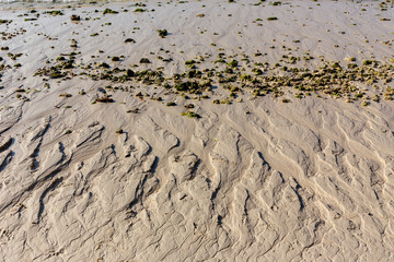 Corals and sandy beaches after low tide on the island of Coral