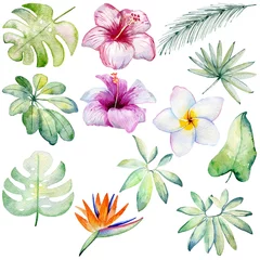 Rolgordijnen Tropische planten Aquarel hand getekende tropische planten en bloemen set.