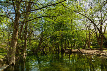 Texas Hill Country landscape