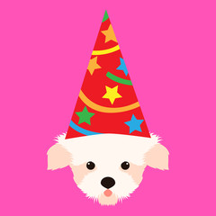  dog cap celebration vector illustration flat style front