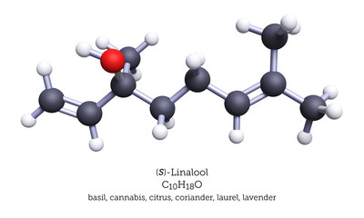 Ball-and-Stick Model of Linalool - 3D Illustration