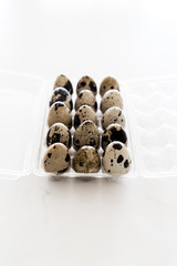 mini quail eggs