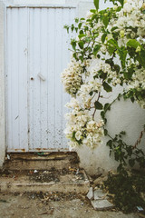 Exterior of buildings with flowers