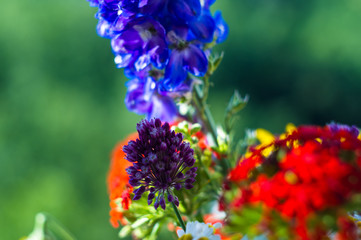 a bouquet of bright spring flowers of various types