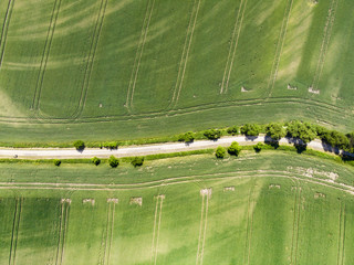 Field in Poland