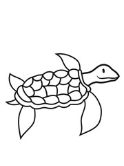schwimmen tauchen wasser flossen unterwasser comic cartoon schildkröte panzer lustig süß niedlich design cool clipart
