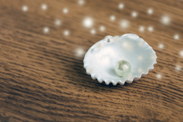 Fototapeta na wymiar White shell with oyster pearl in it. Luxury jewelry accessory.
