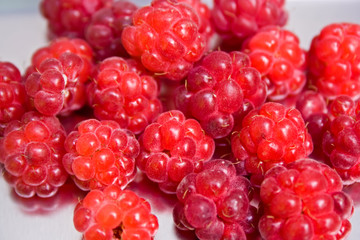 Fresh red raspberries in detail