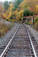 Fototapeta na wymiar Single train tracks in a rural area during the fall season with coloured leaves along each side