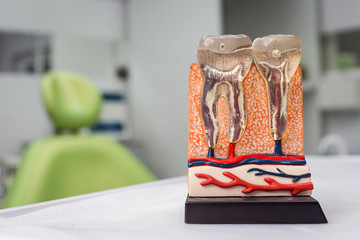 dental tools on white background top view.  Stomatology