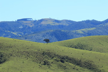 Obraz premium Lonely Tree and Mountains