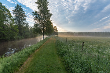 early summer morning at a trail near a channel