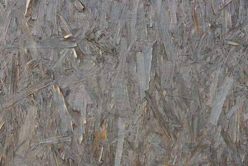 gray wooden texture from a piece of an old board