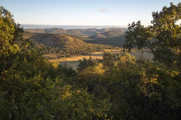 Foto op Canvas Vredefort krater in Südafrika © ankenevermann