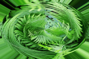 fern Bush, abstract image, texture