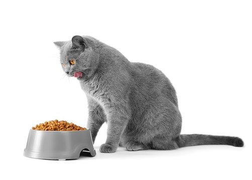 A cat eats food and lickens