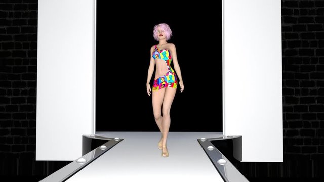 supermodels in the fashion show,animation,loop